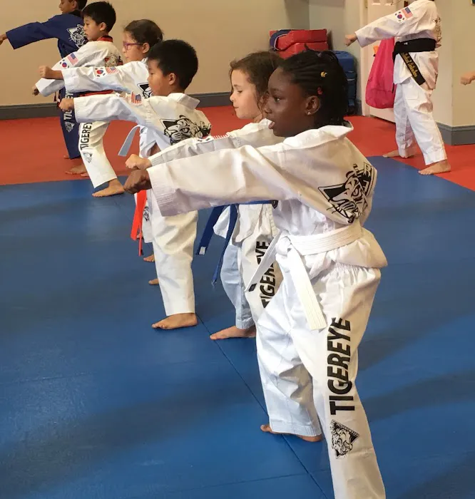 Tigereye TaeKwonDo, Inc. Picture 6