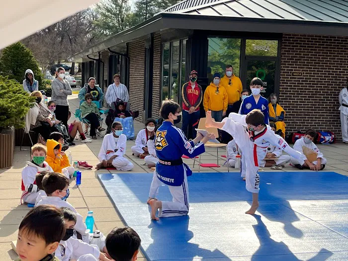 Tigereye TaeKwonDo, Inc. Picture 8