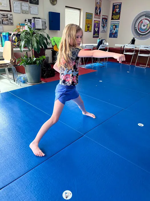 Tigereye TaeKwonDo, Inc. Picture 9