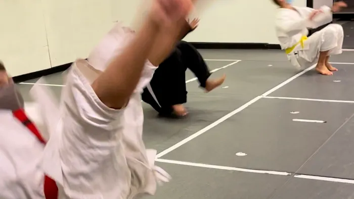 OSA Martial Arts- Taekwondo Judo/Jiu-Jitsu Women Classes Hapkido B4 & After-School Picture 3