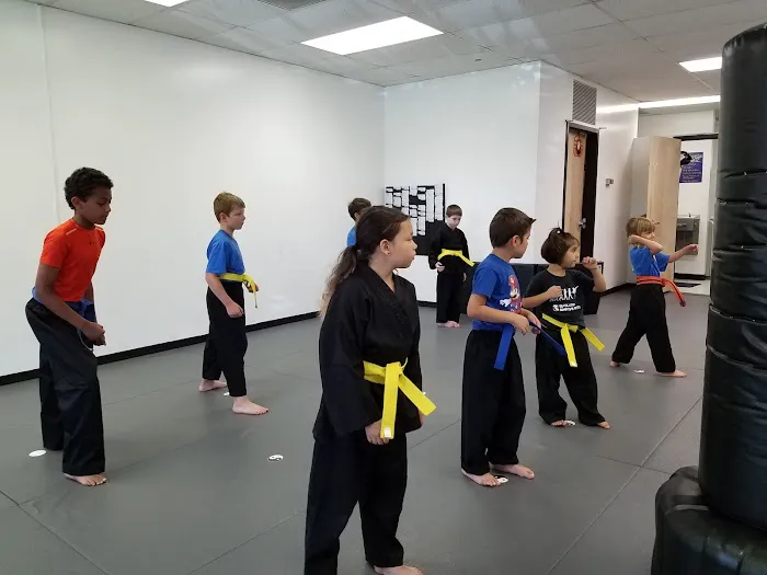 OSA Martial Arts- Taekwondo Judo/Jiu-Jitsu Women Classes Hapkido B4 & After-School Picture 2