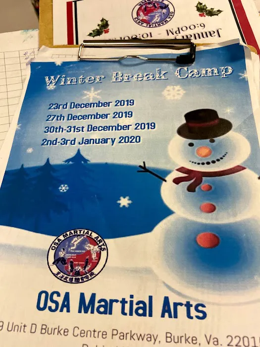 OSA Martial Arts- Taekwondo Judo/Jiu-Jitsu Women Classes Hapkido B4 & After-School Picture 9