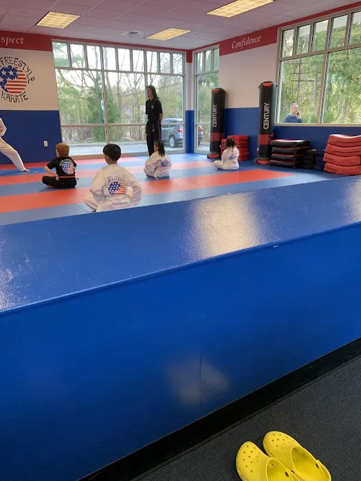 Elite Freestyle Karate Picture 1