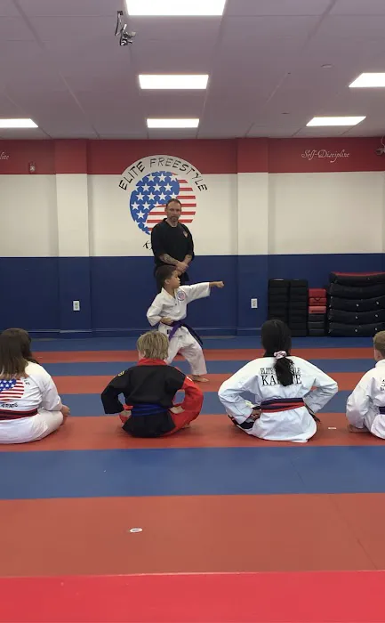 Elite Freestyle Karate Picture 7