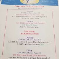 Allan Azoff Martial Arts Academy ico