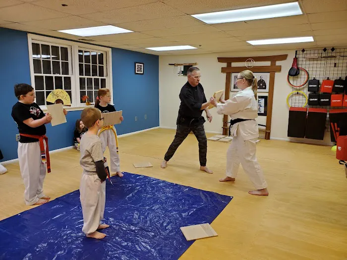 The Dojo - Billerica Picture 1