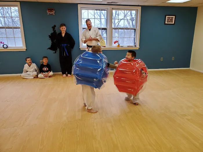 The Dojo - Billerica Picture 3