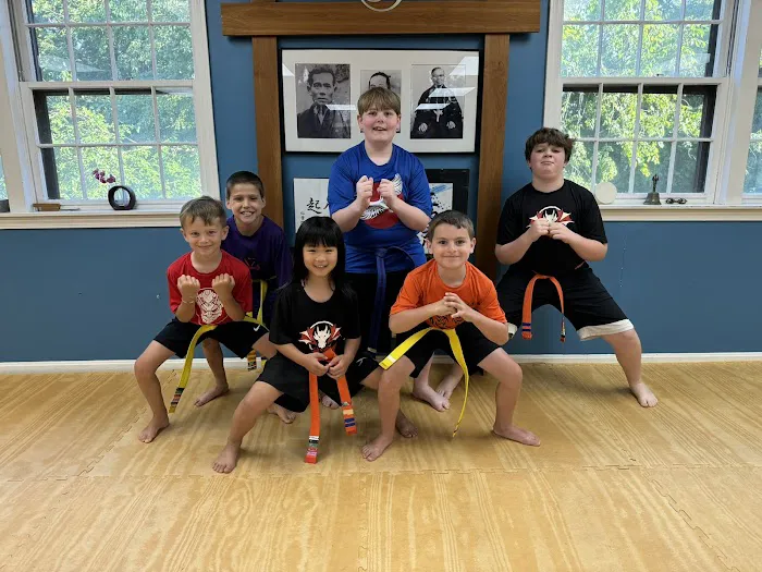 The Dojo - Billerica Picture 2