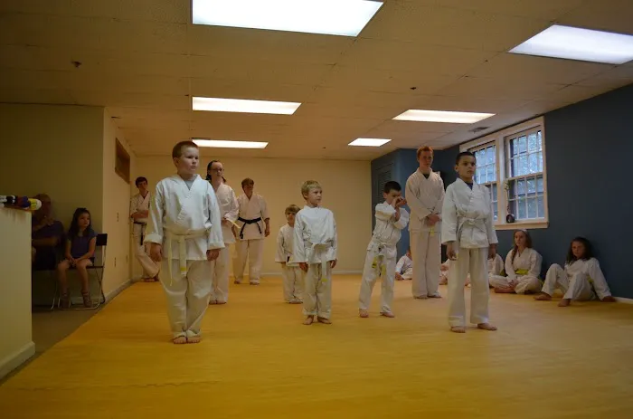The Dojo - Billerica Picture 6