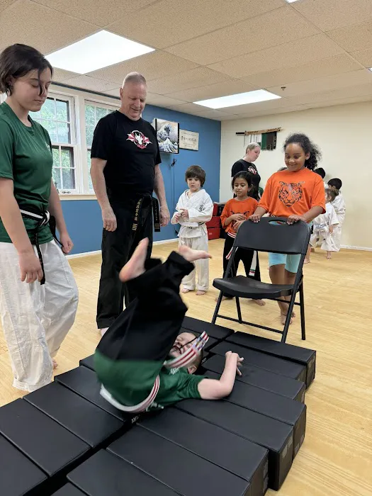 The Dojo - Billerica Picture 10