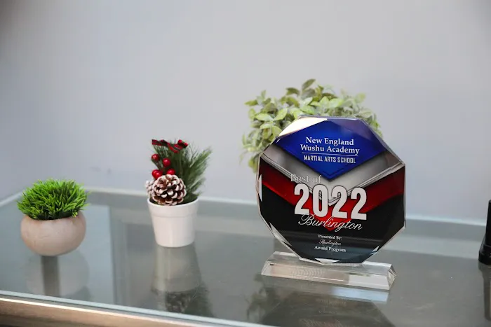 New England Wushu Academy Picture 4