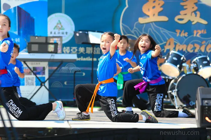 New England Wushu Academy Picture 10