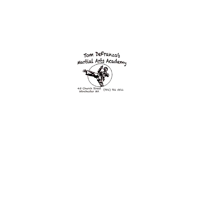 Tom Defranzo's Martial Arts Academy in Winchester Picture 2