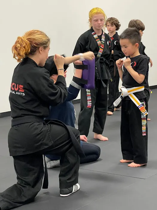 Focus Martial Arts Picture 6