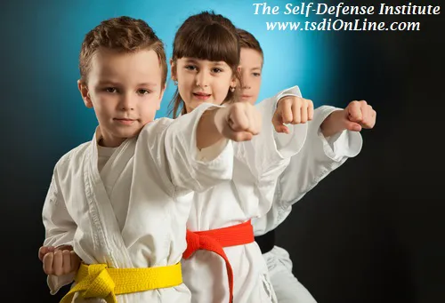 The Self Defense Institute Picture 1