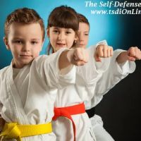 The Self Defense Institute ico