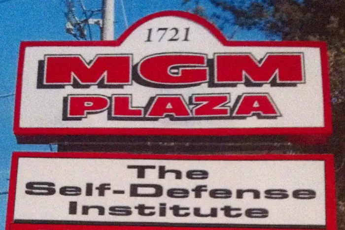 The Self Defense Institute Picture 4