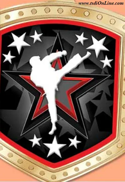 The Self Defense Institute Picture 6