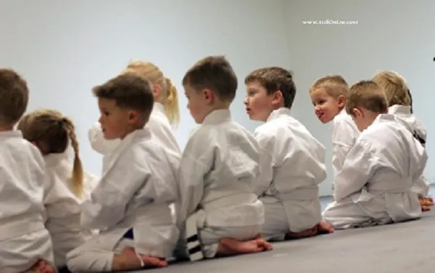 The Self Defense Institute Picture 8