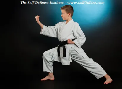 The Self Defense Institute Picture 10