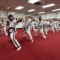 Body Mind Systems, Stoneham ico