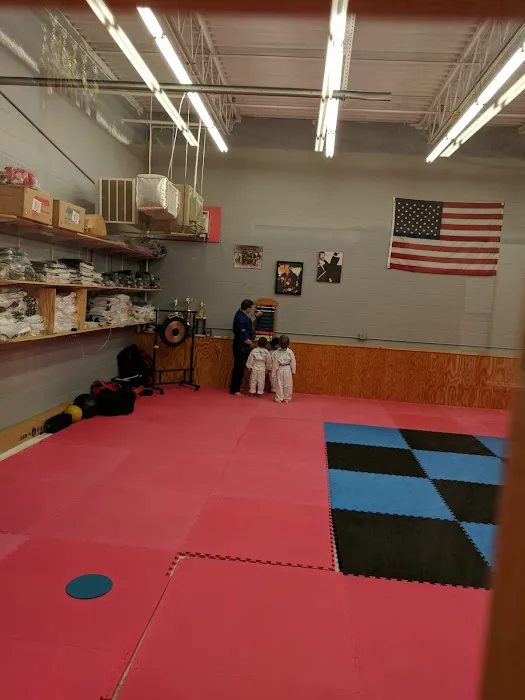 Steve Nugent's Karate Institute Picture 1
