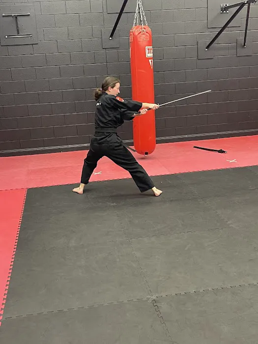 Steve Nugent's Karate Institute Picture 3