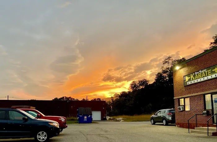 Steve Nugent's Karate Institute Picture 2