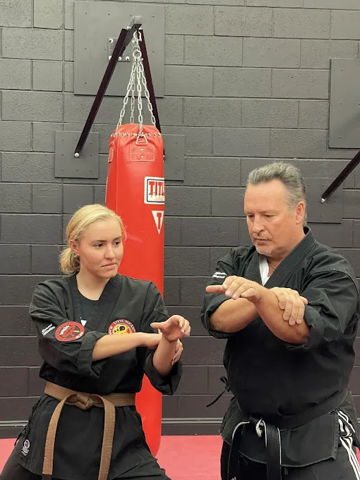 Steve Nugent's Karate Institute Picture 5