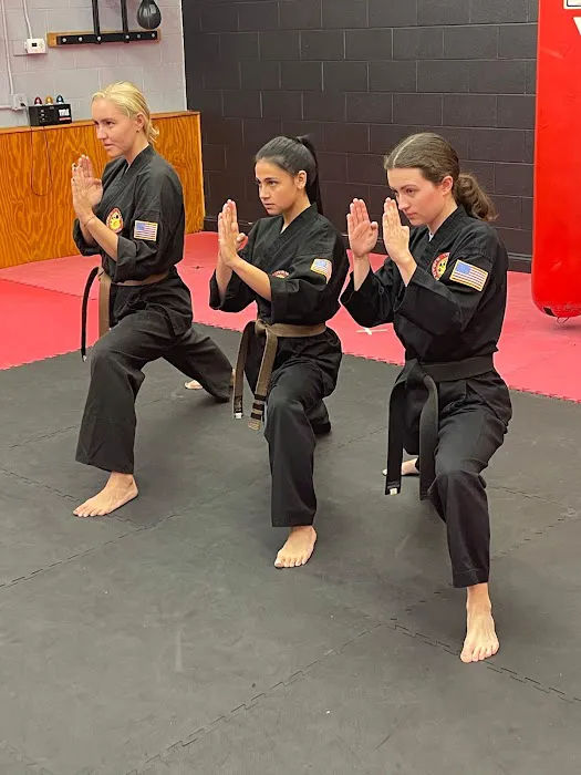 Steve Nugent's Karate Institute Picture 7