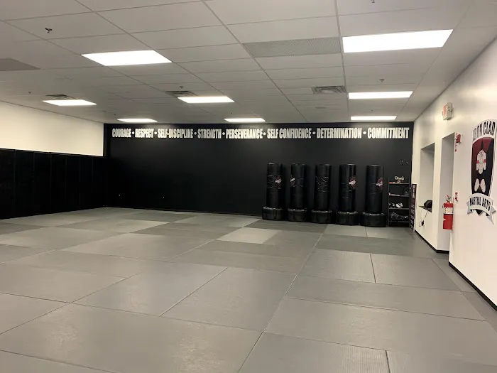 IronClad Martial Arts Center and Power-Up Fitness Picture 7