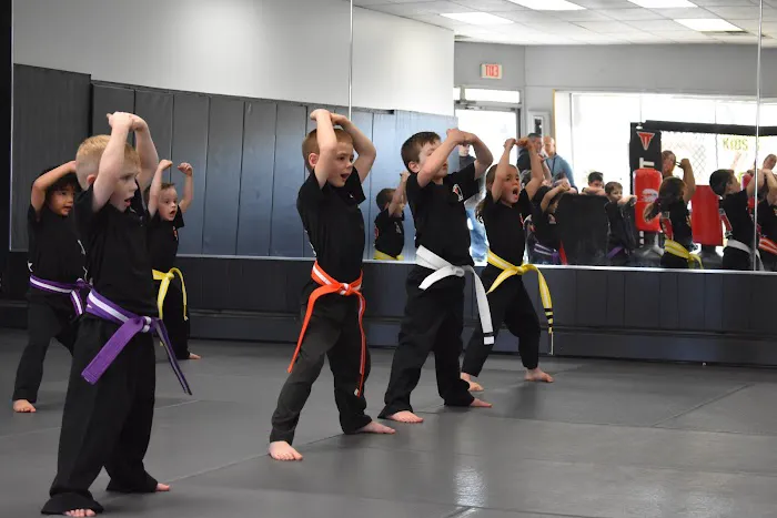 IronClad Martial Arts Center and Power-Up Fitness Picture 8