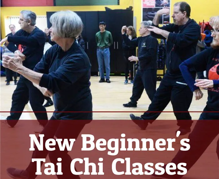 Yang's Martial Arts Picture 5