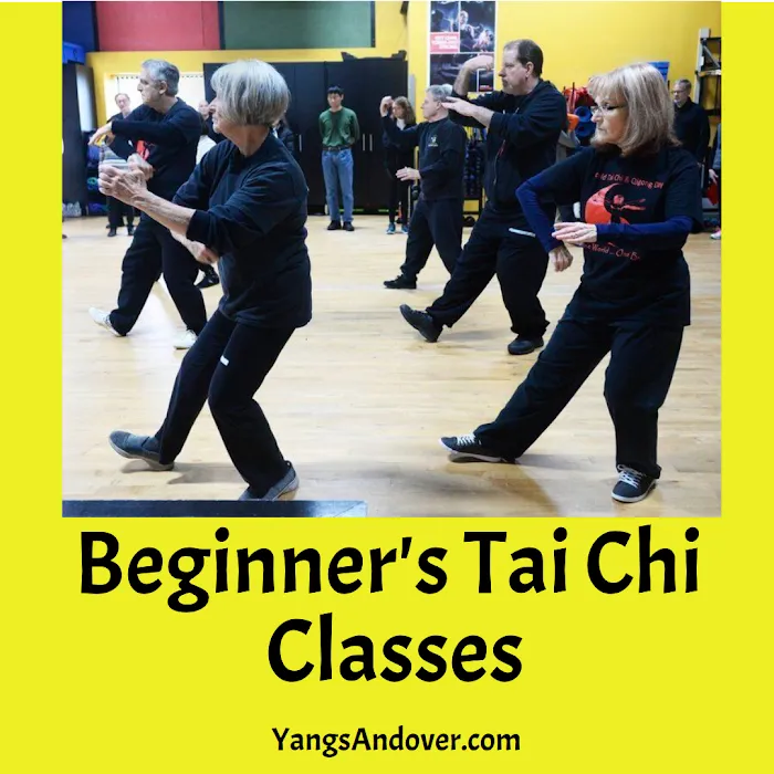 Yang's Martial Arts Picture 6