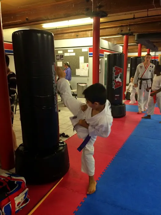 ATA Martial Arts Picture 8