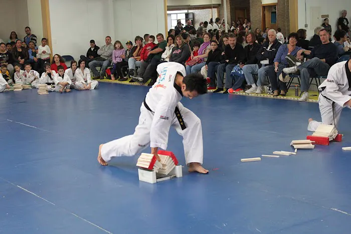 US Taekwondo Academy Picture 1