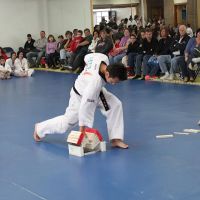 US Taekwondo Academy ico