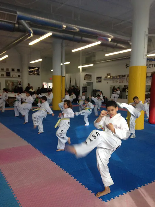 US Taekwondo Academy Picture 6