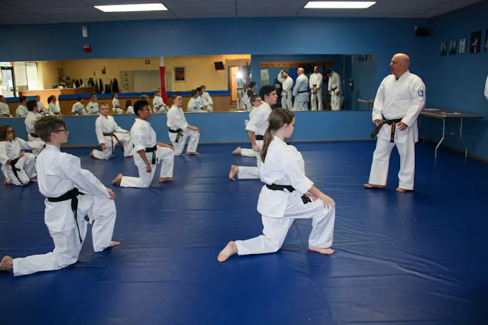 Family Martial Arts of Pelham Picture 2