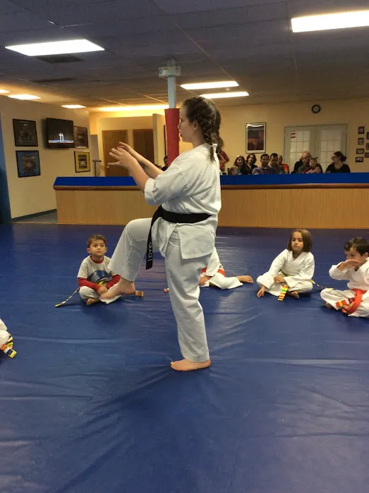 Family Martial Arts of Pelham Picture 4