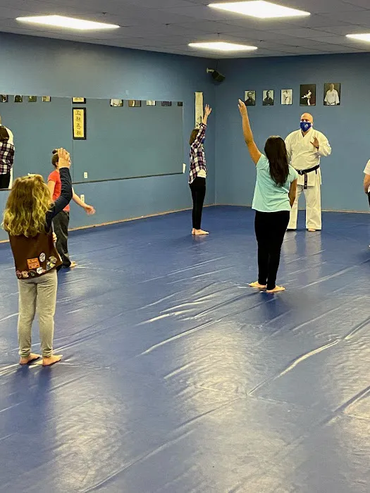 Family Martial Arts of Pelham Picture 3