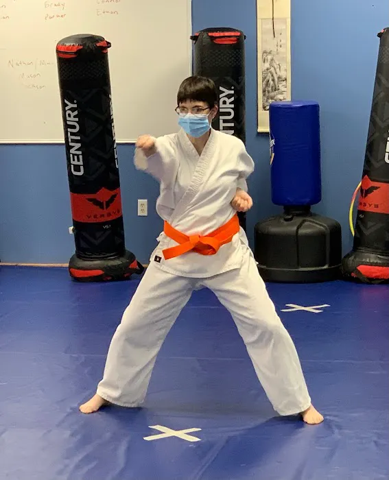 Family Martial Arts of Pelham Picture 6