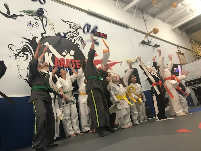 Karate International Windham Picture 5