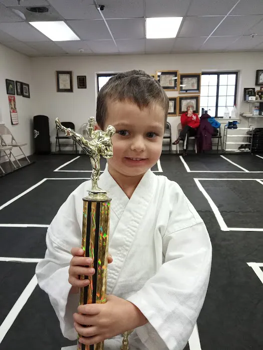 National Karate Institute Picture 7