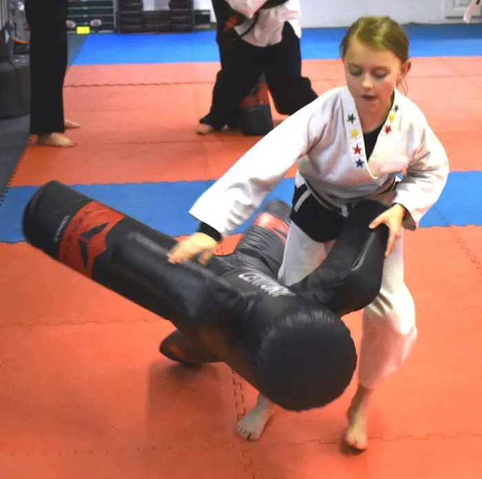 Merrimack Karate Studio Picture 5