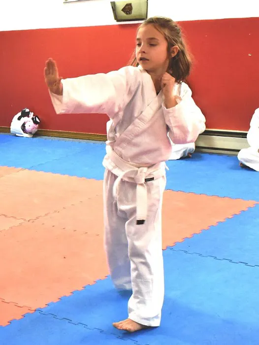 Merrimack Karate Studio Picture 6
