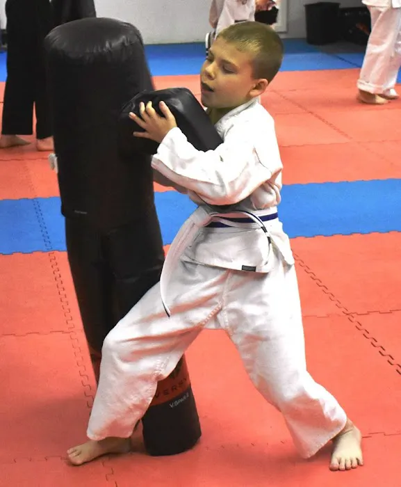 Merrimack Karate Studio Picture 10