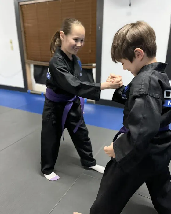 Determined Martial Arts Picture 6