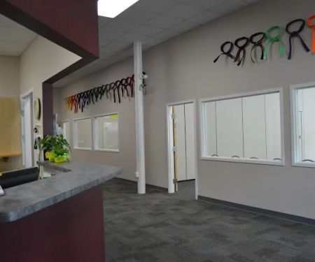 Bedford Martial Arts Academy