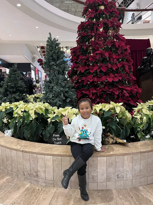 Bedford Martial Arts Academy - East Picture 2